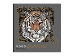 Скетчпад 170*170 мм 40 л «ТИГР» (КБС, офсет, с откидной крышкой)