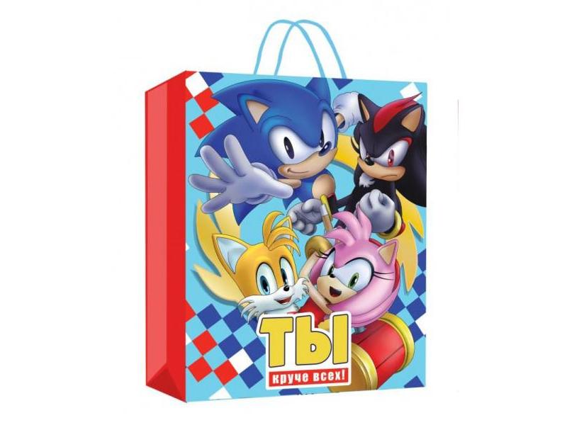 Пакет подарочный «ТЫ КРУЧЕ ВСЕХ! БЫСТРЫЙ ЕЖ» 18*22,7*10 см (глян. лам.) PM-92475-SN