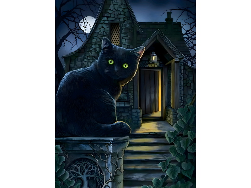 Купить оптом Холст с красками 30х40 см по номерам. ЧЕРНЫЙ-ЧЕРНЫЙ КОТ в Луганске