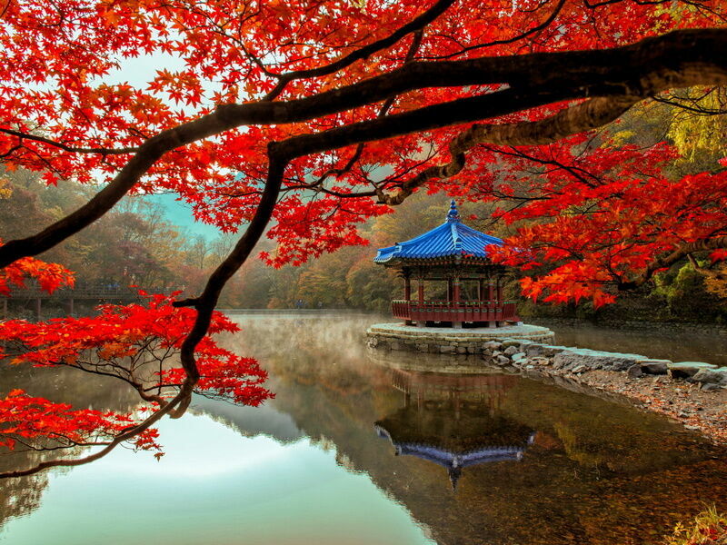 Холст с красками 30х40 см по номерам. ЯПОНСКАЯ ОСЕНЬ