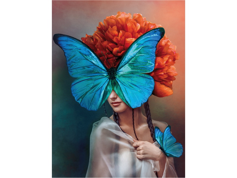 Холст с красками 40х50 см по номерам. ДЕВУШКА С БАБОЧКОЙ