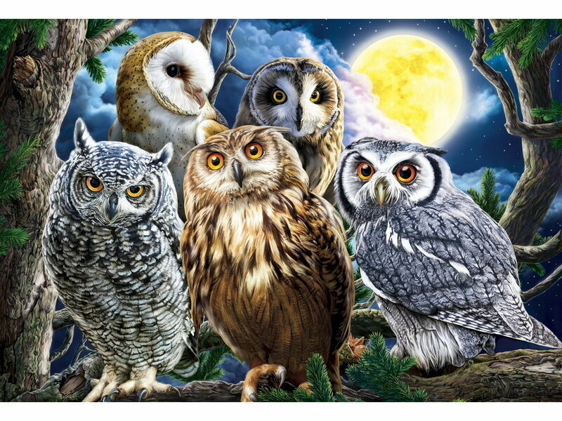 Алмазная мозаика 40х50 см НОЧНЫЕ СОВЫ (с подр., с полн. заполн., класс.)