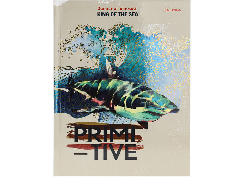 ЗАПИСНАЯ КНИЖКА А5 80л «ГРОЗА МОРЕЙ» (7БЦ, глян. лам.)