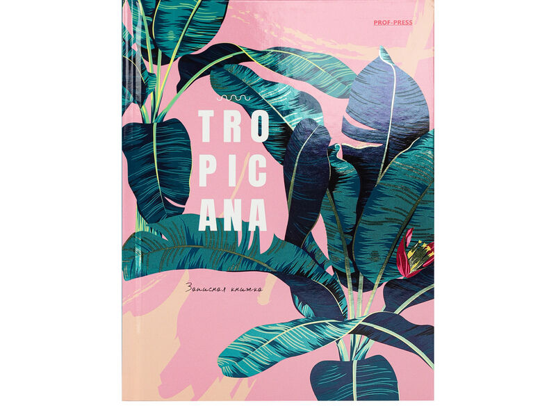 ЗАПИСНАЯ КНИЖКА А5 80л «ТРОПИЧЕСКИЙ СТИЛЬ-2» (7БЦ, глян. лам.)