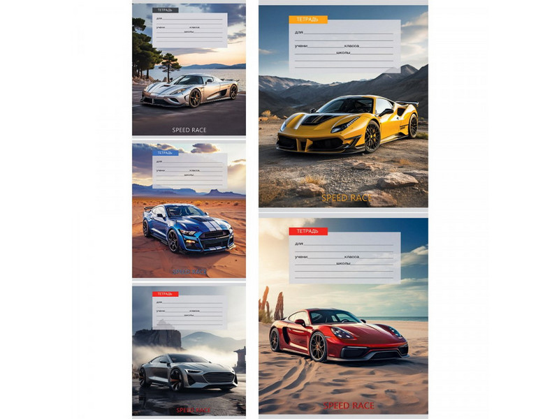 Тетрадь 12 л ЛИНИЯ «АВТО И ПЕЙЗАЖ-2» (цвет. мелов. обл.)