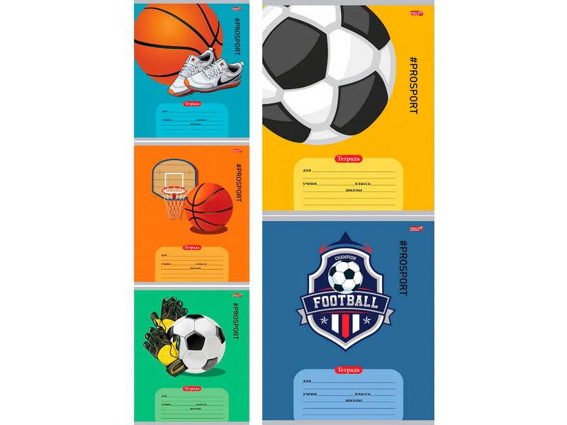 Тетрадь 12 л ЛИНИЯ «СПОРТИВНЫЕ АТРИБУТЫ-1» (цвет. мелов. обл.)