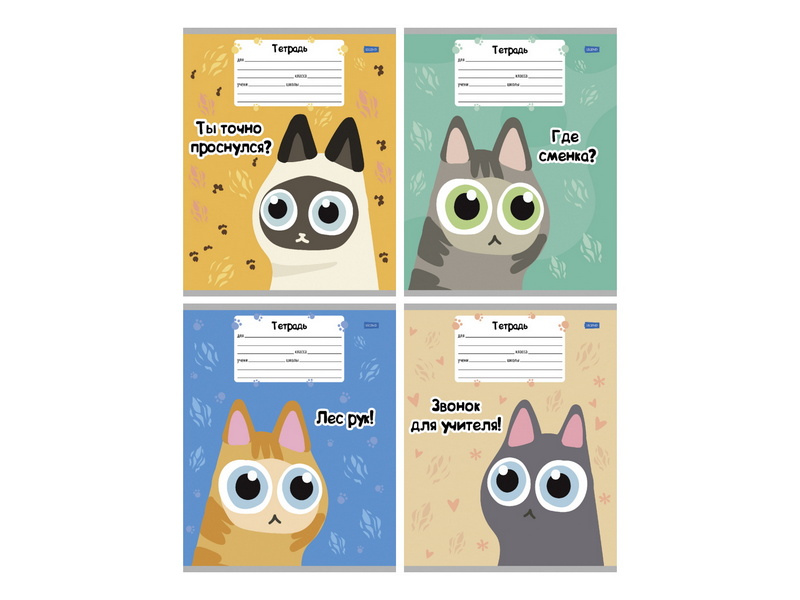 Тетрадь 18 л ЛИНИЯ «КОТОБУДНИ» (цвет. мелов. обл.)