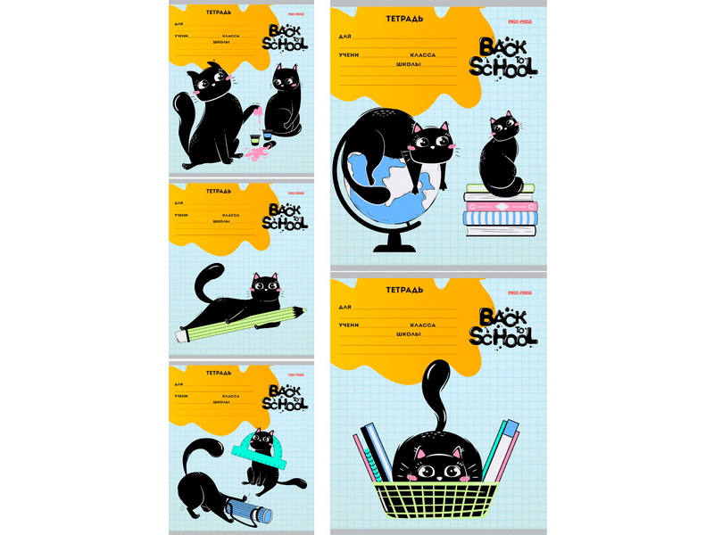 Тетрадь 24 л КЛЕТКА «КОТИК И ШКОЛЬНАЯ ТЕМА» (цвет. мелов. обл.)
