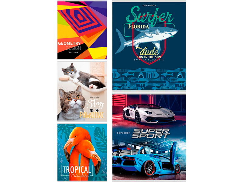 Тетрадь 96 л КЛЕТКА «МИКС 7319» (цвет. мелов. картон, второй блок)