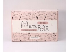 Сувенирная коробка MilotaBox "Cat Box" с набором подарков-сюрпризов 28*18*9 см