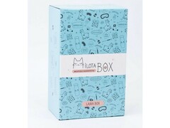 Сувенирная коробка MilotaBox "Lama" с набором подарков-сюрпризов 22*14*9 см