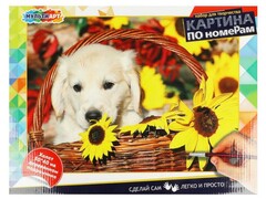 72084 [CANV30X40-MULTI31]Картина по номерам 30*40 см «Собачка»