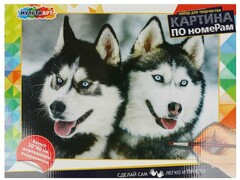 72092 [CANV30X40-HUSKY]Картина по номерам 30*40 см «Хаски»