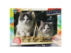 72116 [CANV30X40-KIT2]Картина по номерам 30*40 см «Котики»