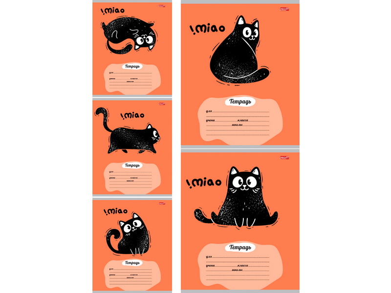 Тетрадь 18 л КЛЕТКА «ЧЁРНО-БЕЛЫЙ КОТ-1» (цвет. мелов. обл.)