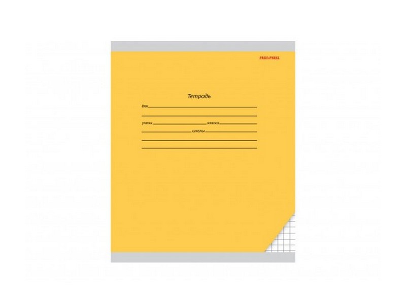 Тетрадь 18 л КЛЕТКА «КЛАССИКА» желтая (цвет. мелов. обл.)