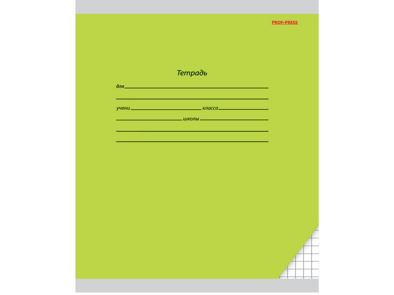 Тетрадь 18 л КЛЕТКА «КЛАССИКА» зелёная (цвет. мелов. обл.)