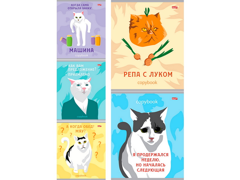 Тетрадь 48 л КЛЕТКА «КОТЫ ИЗ МЕМОВ» (цвет. мелов. обл.)