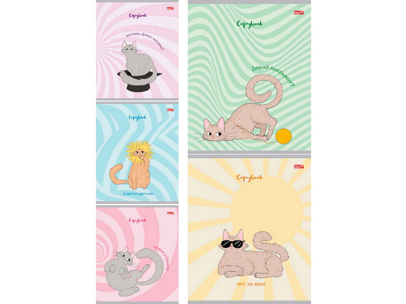 Тетрадь 48 л ЛИНИЯ «СМЕШНОЙ КОТ» (цвет. мелов. обл.)