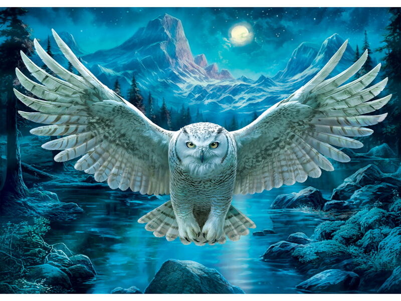 Холст с красками 40х50 см по номерам. ПОЛЕТ НОЧНОЙ СОВЫ
