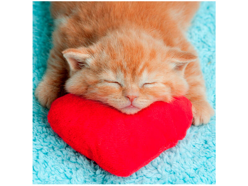 Алмазная мозаика 20*20 см КРАСНОЕ СЕРДЦЕ (c подр., с полн. заполн., класс.)