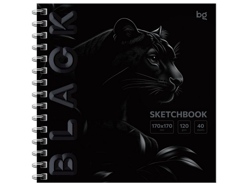 Скетчбук 170*170 мм 40 л BG "Black. Tiger" (гребень, soft tuch)