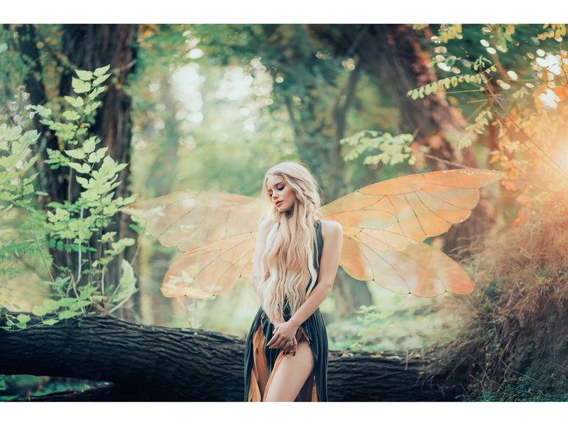 Купить оптом Холст с красками 40х50 см по номерам. ОЧАРОВАТЕЛЬНАЯ ФЕЯ в Луганске