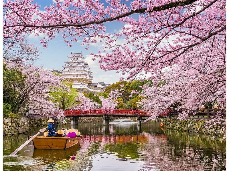 Холст с красками 40х50 см по номерам. ЗАМОК ХИМЭДЗИ В ЯПОНИИ ВЕСНОЙ