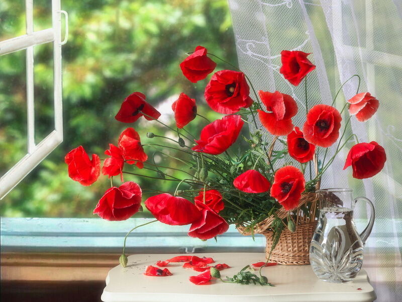 Купить оптом Холст с красками 40х50 см по номерам. МАКИ У ОКНА в Луганске