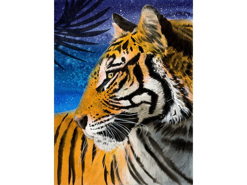 Купить оптом Холст с красками 30х40 см по номерам. ВЗГЛЯД ТИГРА в Луганске
