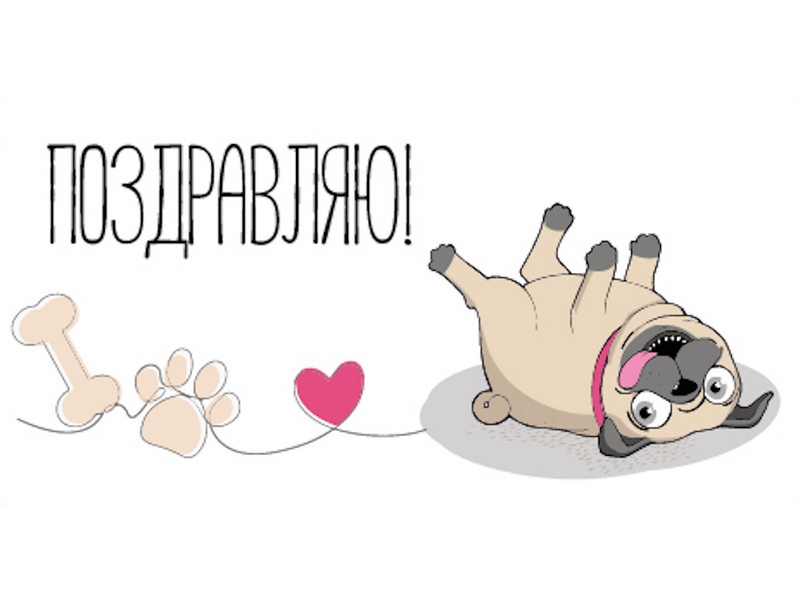 Конверт для денег «Поздравляю» (холст, мопс) ЛХ-0180