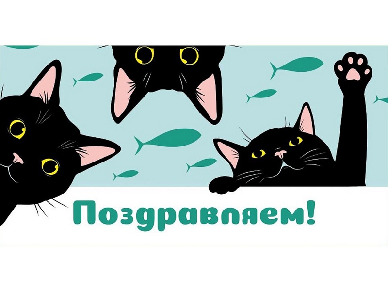 Конверт для денег "Поздравляем!" (черные котики) 1-04-0532