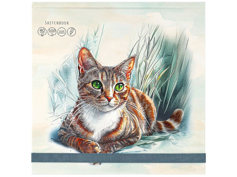 Купить оптом Скетчбук 200х200мм 40л «КОШАЧИЙ ПОРТРЕТ» (7БЦ, мат. лам.) в Луганске