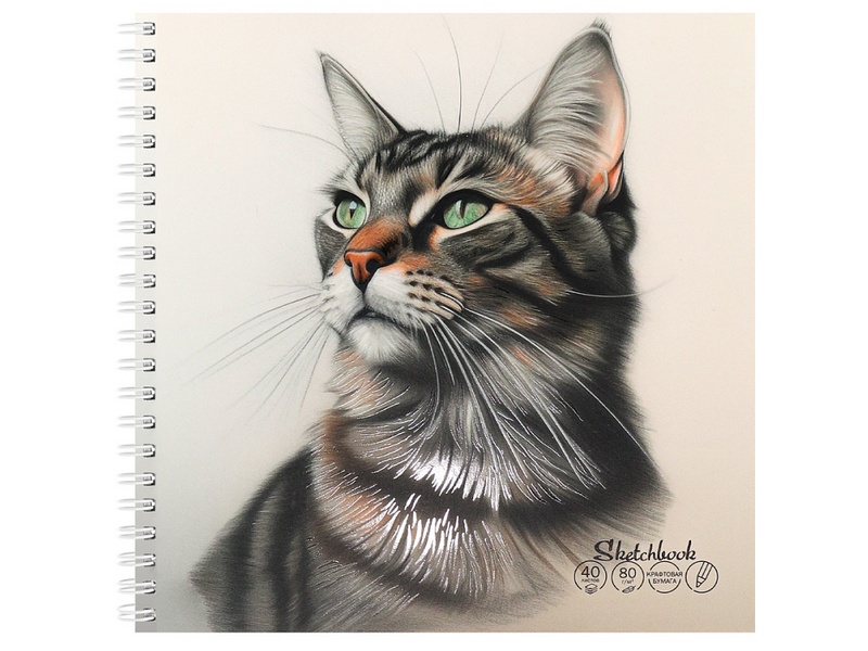 Купить оптом Скетчбук 190х190мм 40л «ЗЕЛЕНОГЛАЗЫЙ КОТИК» (гребень, мат. лам.) в Луганске