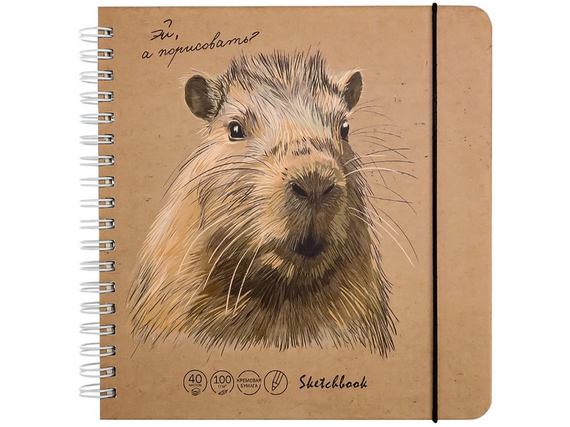 Скетчбук 165х165мм 40л «БУДНИ КАПИБАРЫ» (7БЦ, гребень, мат. лам., на резинке)