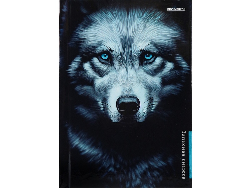 ЗАПИСНАЯ КНИЖКА А6 48л «ВОЛК НА ЧЁРНОМ» (7БЦ, глян. лам.)