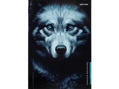78791 [48-5741]ЗАПИСНАЯ КНИЖКА А6 48л «ВОЛК НА ЧЁРНОМ» (7БЦ, глян. лам.)