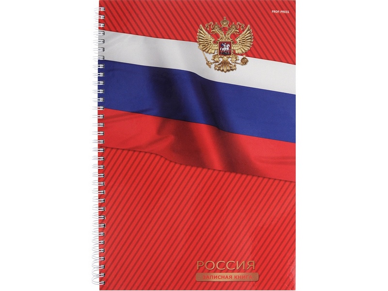 Записная книга А4 120л «СИМВОЛЫ СТРАНЫ» (7БЦ, гребень, глян. лам.)