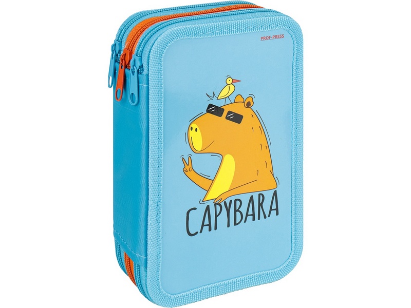 Пенал 3 секции КАПИБАРА В ОЧКАХ 190*115 мм ПН-2050