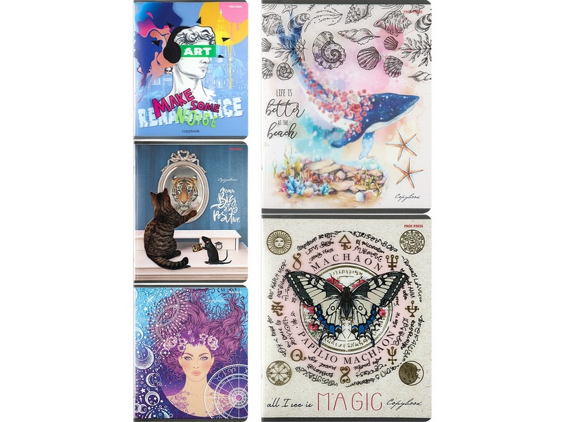 Тетрадь 48 л КЛЕТКА «МИКС-8753» (пластик, мел. бумага)