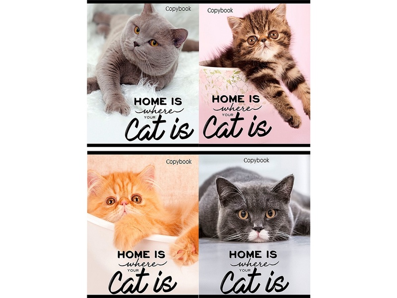 Тетрадь 96 л КЛЕТКА «ДОМАШНИЕ КОТЫ» (цвет. мелов. обл.)