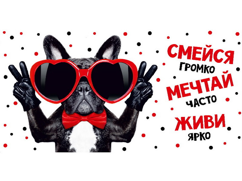 Конверт для денег "Смейся много ..." (крутая собака) 1-04-0556
