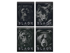 79731 [Б5гр40 07048]Блокнот А5 40 л BG "Just black" (гребень) Б5гр40 07048