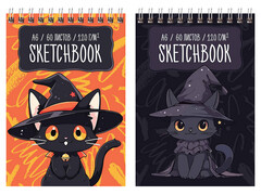 Скетчбук А6 60 л BG "Чародей" (гребень, глян. лам.) СА660гр_58072