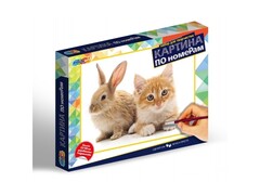 80293 [CANV22X30-CATRAB]Холст по номерам 22х30 см «КОШКА И КРОЛИК»