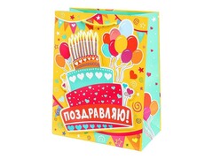 80323 [PAM-114565-CK2]Пакет подарочный «ТОРТИК» 18*23*10 см (мат. лам.) PAM-114565-CK2