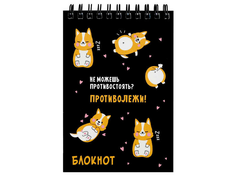 Блокнот А6 80л клетка «КОРГИ ОТДЫХАЕТ» (гребень, офсет)