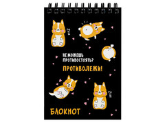 80594 [72778]Блокнот А6 80л клетка «КОРГИ ОТДЫХАЕТ» (гребень, офсет)
