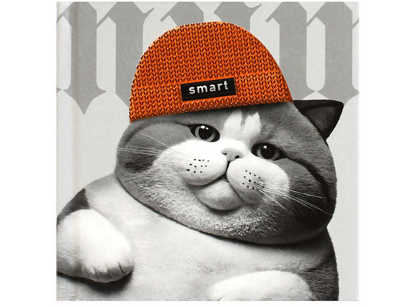 Блокнот 105*105 мм 48 л клетка «КОТ В ШАПОЧКЕ» (7БЦ, офсет)