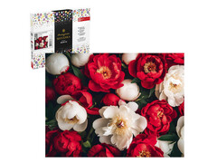 80613 [71408]Алмазная мозаика 30*40 см «КРАСНЫЕ И БЕЛЫЕ ПИОНЫ» (с подр., с полн. заполн., класс.)